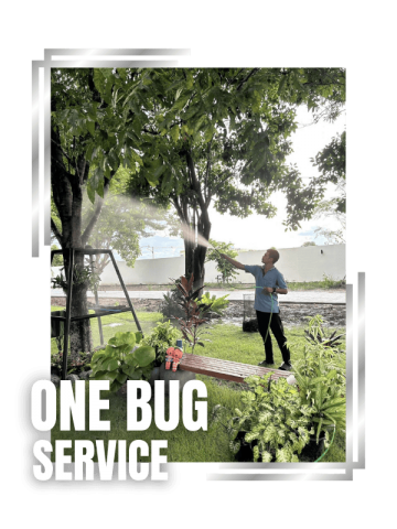 พ่นยากำจัดปลวก บ้าน นนทบุรี